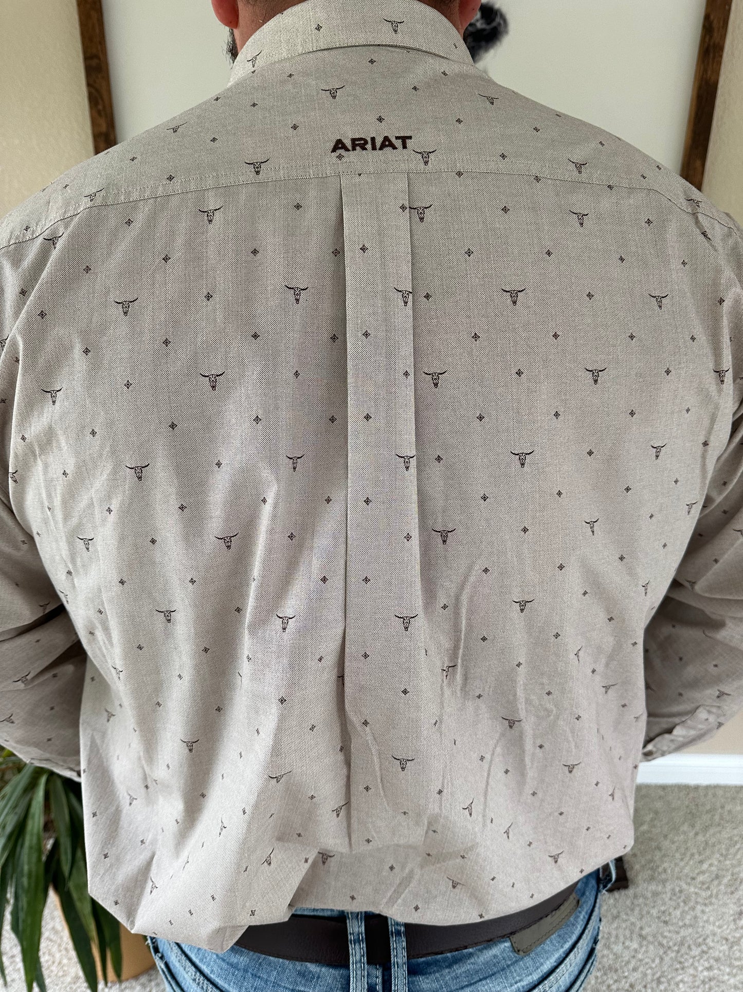 Men’s Ariat Beau Skull Button Up