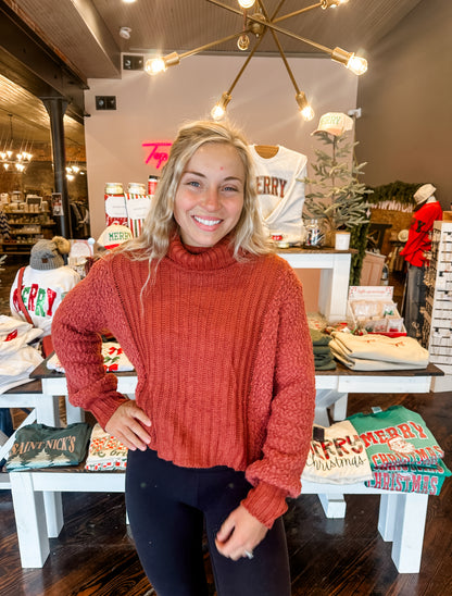 Cozy Crop Turtleneck