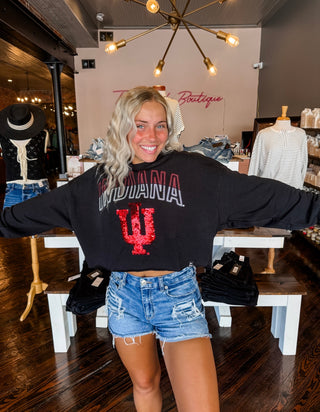 Indiana Starlite Sequin Cropped Longsleeve